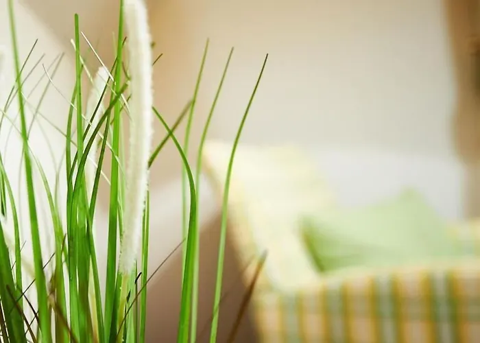 & Cramer 3* Warstein